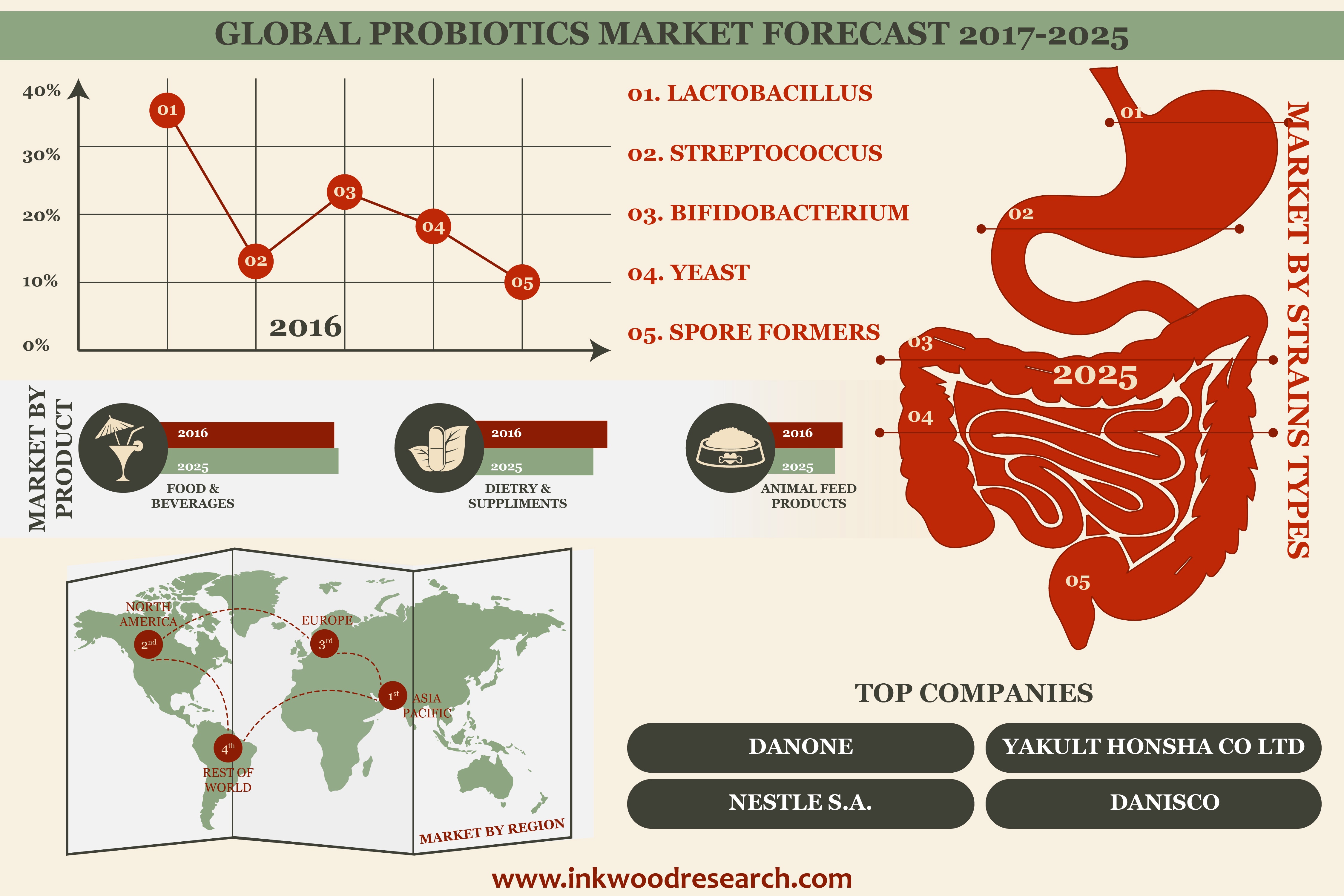 Probiotics Market To Hit 71948 Million By 2025   Probiotics Market Infographic 